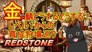 ☆保存版☆金鯖間近！【REDSTONE】１～９００レベルまでの育成狩場巡り！part1