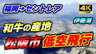 【飛行機から見る松阪市】松阪牛が超有名！「和牛の産地」松阪市を低空飛行！！