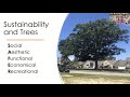 Sustainability Dialog: Trees and Sustainability