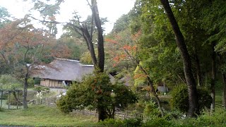 みちのく民俗村ライブ 2024.10.12 16:56