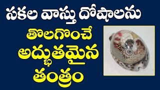 సకల వాస్తు దోషాలను తొలగించే అద్భుతమైన తంత్రం|Vastu dosha nivarana in telugu|Doshalu pariharalu|Tips