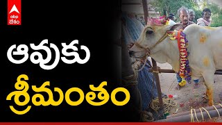 Krishna District ఆగిరిపల్లి మండలం వడ్లమాను గ్రామం లో Cow కు  శ్రీమంతం చేశారు | ABP Desam