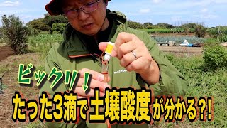 【ガーデニング】土壌酸度（pH）をチェック！秋野菜植える前にアースチェック液なら3液で土壌酸度が分かる！～ガーデンドクターTV17