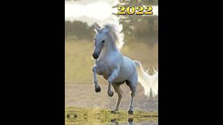 2022 horse and 6000 bce horse (who’s next)?//history creatures//#shorts #youtubeshorts