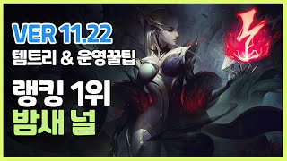 시즌11 이블린 장인랭킹 1위 밤새 널ㅣ템트리 정글링 갱타이밍 킬각 역갱ㅣ천상계 장인유저 관전ㅣPatch 11 22ㅣ감전ㅣ벨트ㅣ