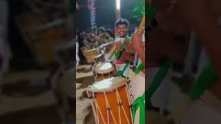 Chenda melam# high energetic performance#ശിങ്കാരിമേളം