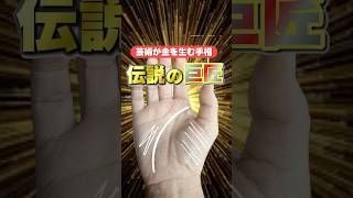 【手相占い】巨匠になる人の手相 #手相  #手相占い  #開運  #スピリチュアル  #占い  #金運  #雑学  #運勢 #運気