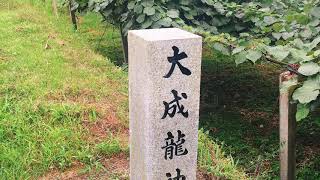 『大成龍(だいじょうりゅう)神社』in広島県