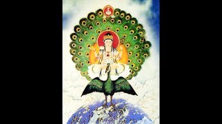 #108 大孔雀明王咒（24遍) Mahamayuri Mantra