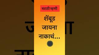 मराठी म्हणी: म्हण पुर्ण करा. शेंबूड जायना नाकाचं… #maharashtra #marathi #mhani #funny #proverb