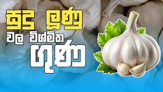 සුදුලූණූ වල තියෙන මොනවද මේ විශ්මිත ගුණ 🤔😱 | Properties of garlic -  මේක අනිවරෙන්ම බලන්න ...