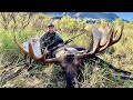 SOLO ALASKAN MOOSE HUNT / 72