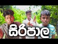 siripala | සිරිපාල - KDJ PRODUCTIONS