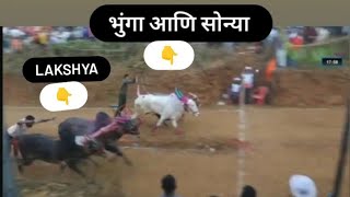 भुंगा सोन्या Vs Lakshya #नाद_एकच_बैलगाडा_शर्यत #नाद #bailgadasharyat #bailgada #shortvideo