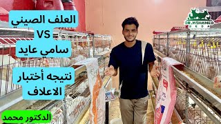 نتيجه أختبار أعلاف الدواجن 🐔 العلف الصيني VS علف سامي عايد 🔥