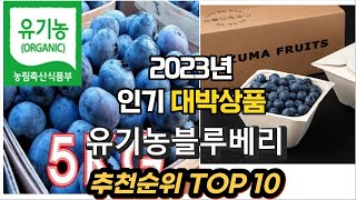 2023년 인기대박상품 유기농블루베리 상품 추천순위 TOP10