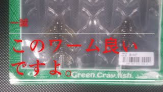 これで白樺湖今年5匹目ゲットしました。