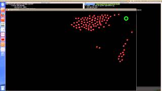 A flocking behavior simulation
