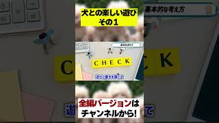 しつけに役立つ犬との楽しい遊び方！基本的な考え方とは？