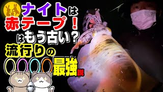 強風OK‼︎冬のナイトエギングはちょっとしたコツとこのエギで釣れまくり！