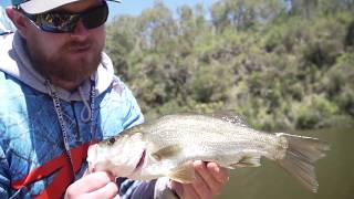 Tackle Tactics TV Ep. 7 - How to Catch Estuary Perch & Bream