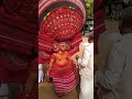 പാട്യം അണിയറ ഇല്ലത്തെ കരുവാൾ ഭഗവതി travel culture creatingforindia theyyam shorts ritual