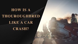 How is a thoroughbred like a car crash?