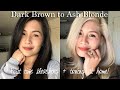 First time bleaching my hair at home! Dark brown to ash blonde using Brad Mondo’s guide