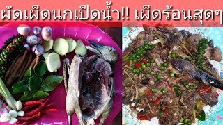 ผัดเผ็ด!! #นกเป็ดน้ำ#คั่วนกเป็ด#อาหารป่าเผ็ดร้อนแซ่บๆๆ...| หนุ่มหน้ามนคนหน้าลาว​ |