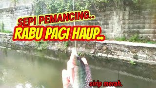 SEPI PEMANCING BIAR AKU SAJA//MANCING IKAN MUJAER BABON PINGGIR WADUK KOTA SURABAYA