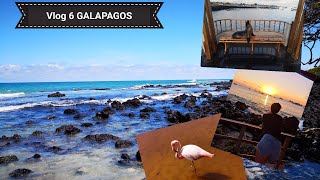 *Reisvlog 6🛩 Galapagos🌎**   #3maandenopreis