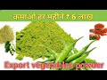 how to export vegetables powder from india I profit in vegetables powder export business