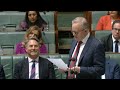 house question time 4 july 2024