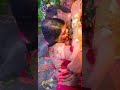 regina cassandra hot hip grab reginacassendra celebgalas