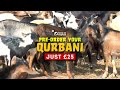 Fulfil Your Qurbani