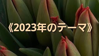 💠《2023年のテーマ》💠真の自分を確立する💠楽しみをみつけて💠