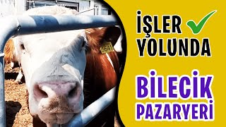 BİLECİK PAZARYERİ İŞLER YOLUNDA