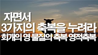 자면서 물질과 건강과 영적 축복이 풀어지는 믿음의 기도 #서효원목사치유기도 #치유축사 #잠자며듣는기도 #기도 #성공 #치유기도 #질병치유기도