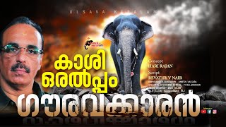 കാശി ഒരു ഗൗരവക്കാരൻ തന്നെ|KeralaElephant|Ulsavakeralam|Paramekkavu Kasinathan|ThrissurPooram|EPI 165