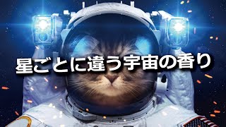 月は火薬の匂い？彗星は猫の匂い？星ごとに違う宇宙の香り