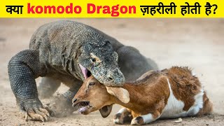 क्या Komodo Dragon ज़हरीले होते हैं? | Why Komodo Is So Dangerous?