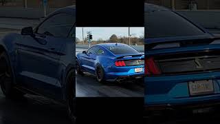 😎WOW THATS 💀INTENSE😵‍💫 2020 SHELBY 🐍GT500 3.8☠️ WHIPPLE💨#2020gt500 #shelbygt500 #shelbyamerican