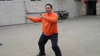 Chen Taijiquan. Zhāng Hóngjūn