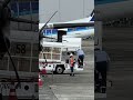 ベルトローダー確認！ana wings bombardier dhc 8 402q dash 8 貨物搭載 大阪国際（伊丹）空港 shorts