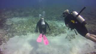 Paralyzed woman teaches scuba diving to disabled children