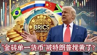 特朗普威胁金砖国家：别搞统一货币，俄罗斯改口：马上说没这回事 硬核深度计划