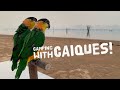 Camping with Caique Parrots