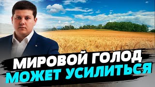 Если зерновое соглашение не будет продлено - увеличится проблема голода в мире — Денис Марчук