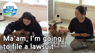 Ma'am, I'm going to file a lawsuit (Dogs are incredible) | KBS WORLD TV 210324