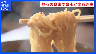 年越しそばやラーメンで鼻水が出る理由とは？耳鼻科医が解説！ | WDI SAISOKU NEWS #年越しそば #鼻水 #防御反応 #唐崎商店 #寒暖差アレルギ